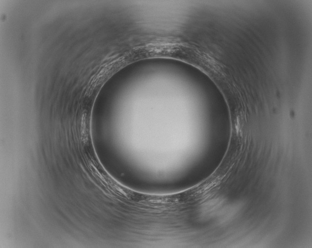 X0000054451396200507291305