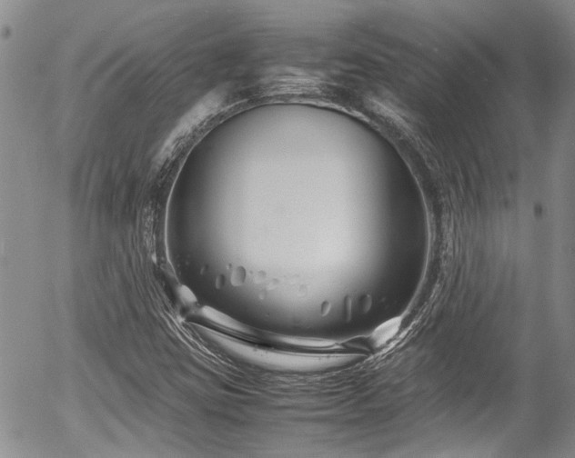 X0000054451403200507291305
