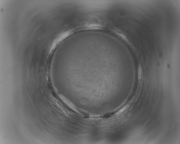 X0000054451405200507291305