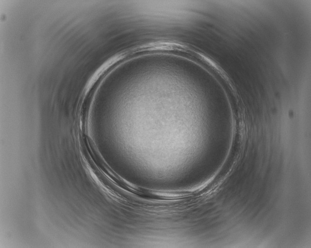 X0000054451418200507291305