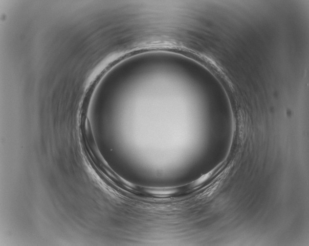 X0000054451422200507291305