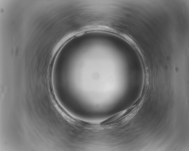X0000054451438200507291305