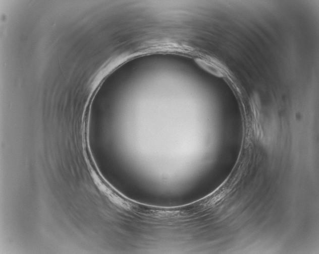 X0000054451439200507291305
