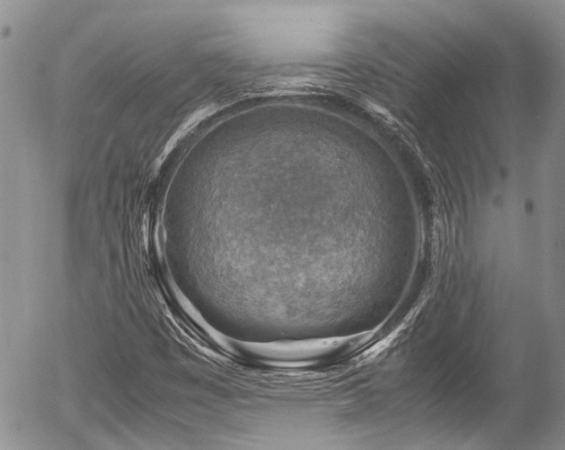 X0000054451449200507291305
