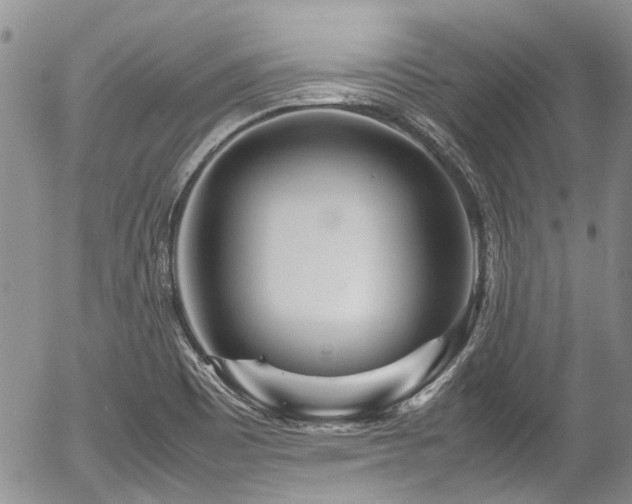X0000054451465200507291304