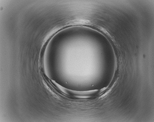 X0000054451469200507291304