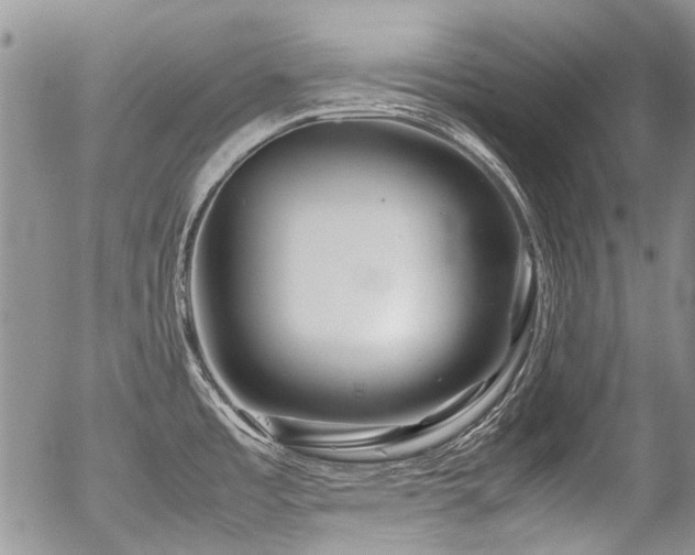 X0000054451485200507291304