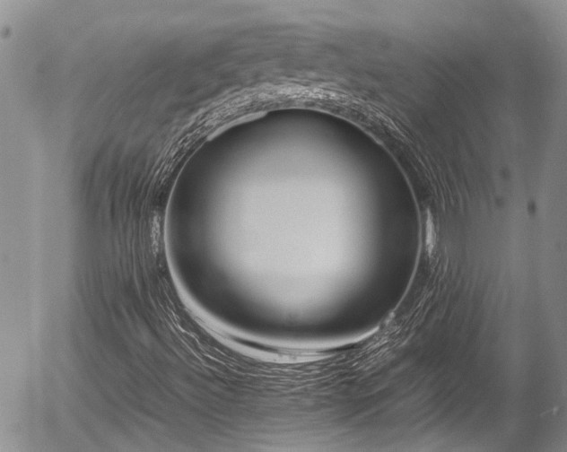 X0000054451492200507291303