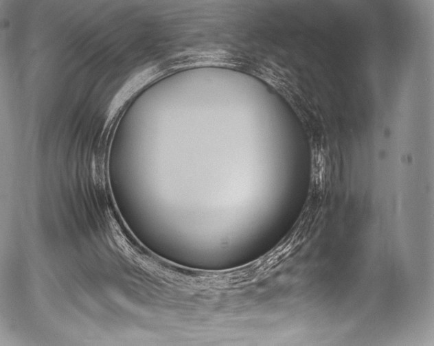 X0000054450004200508011441