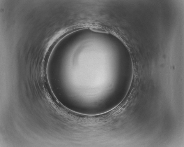 X0000054450008200508011441