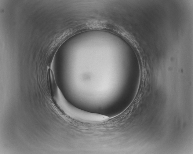 X0000054450009200508011441