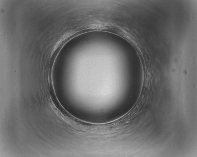 X0000054450011200508011441