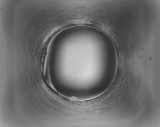 X0000054450015200508011441