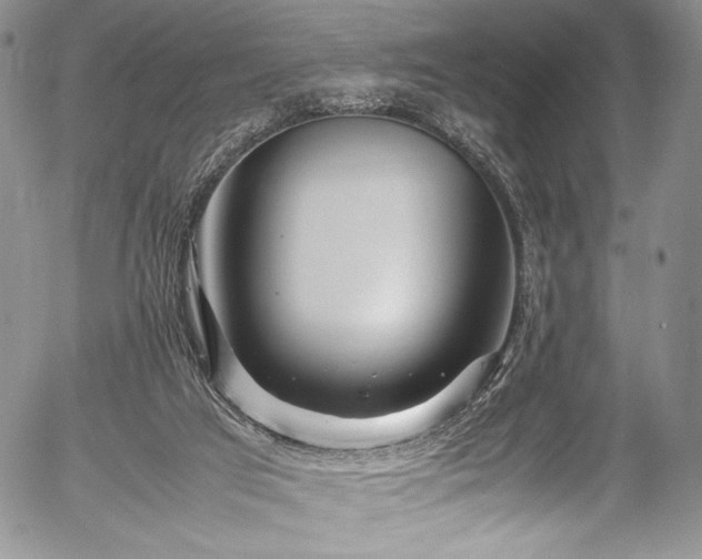 X0000054450017200508011441