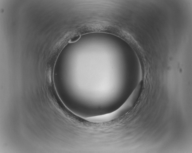 X0000054450021200508011441