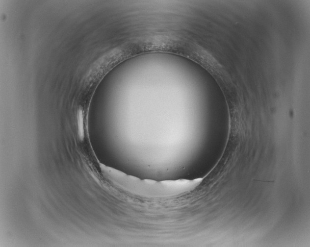 X0000054450022200508011441