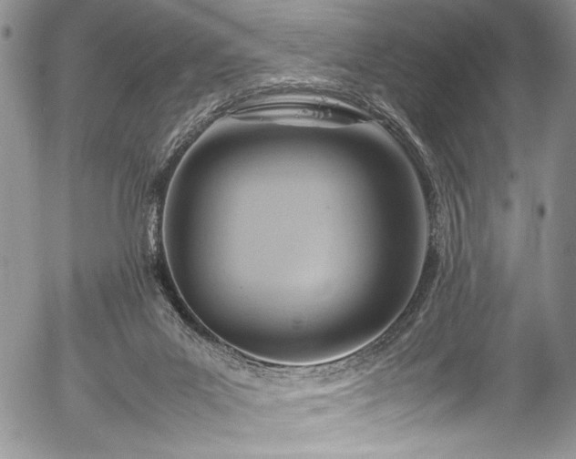 X0000054450023200508011441