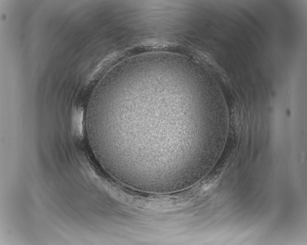 X0000054450024200508011441