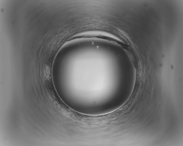 X0000054450025200508011441