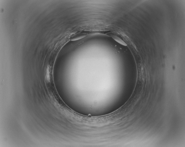 X0000054450026200508011441