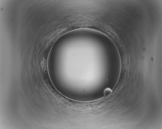 X0000054450029200508011441