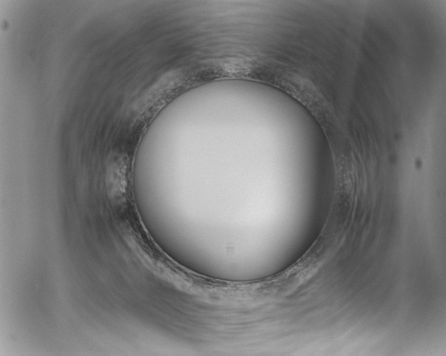 X0000054450032200508011441