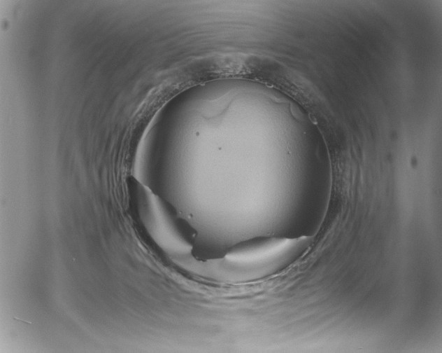 X0000054450035200508011441