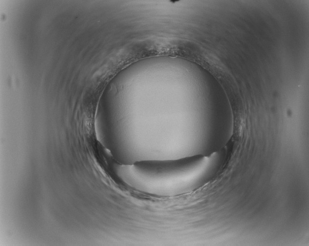 X0000054450039200508011441
