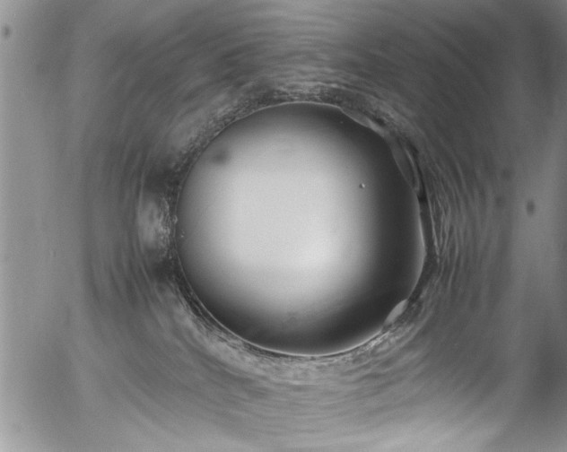 X0000054450040200508011441