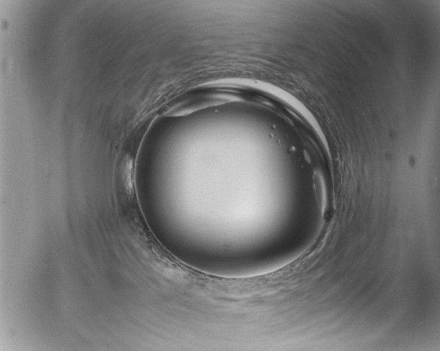 X0000054450041200508011441