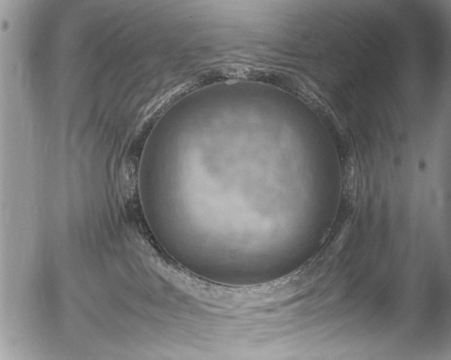 X0000054450043200508011441