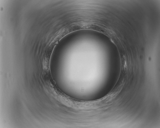 X0000054450044200508011441