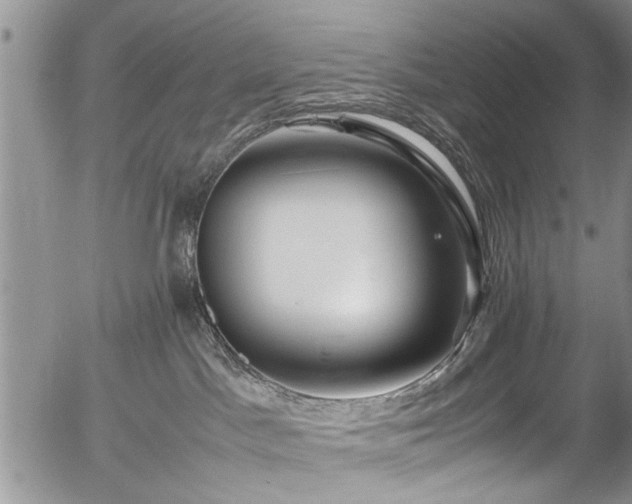 X0000054450045200508011441