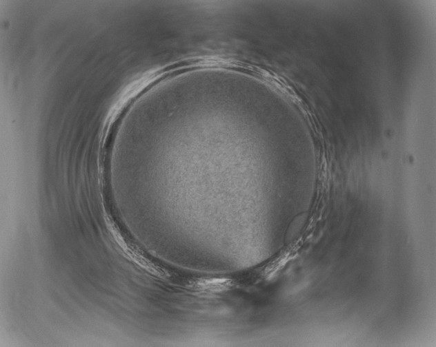 X0000054450055200508011440