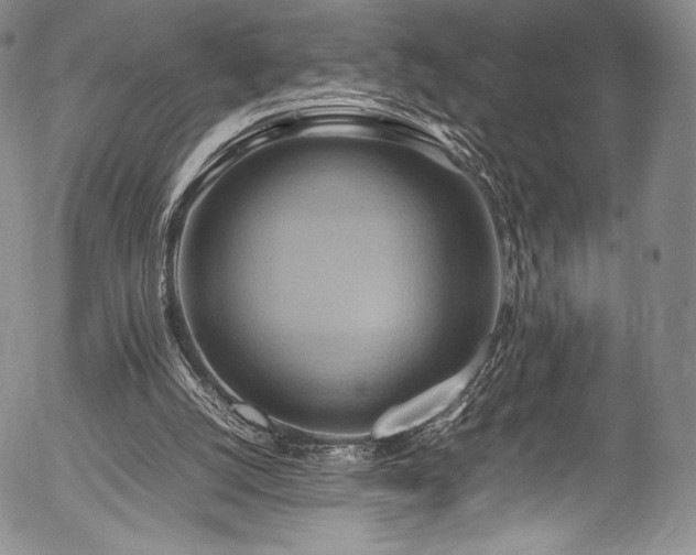 X0000054450056200508011440