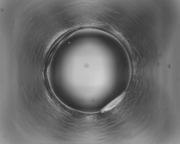 X0000054450060200508011440