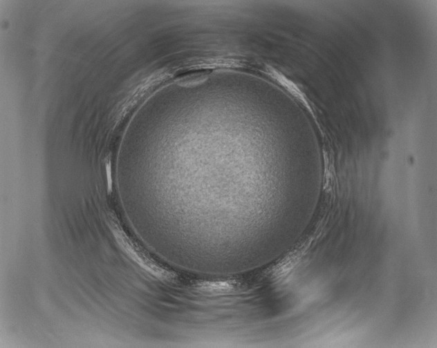 X0000054450061200508011440