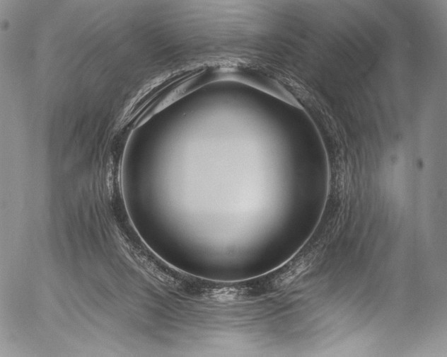 X0000054450064200508011440