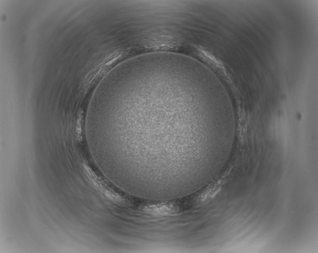 X0000054450065200508011440