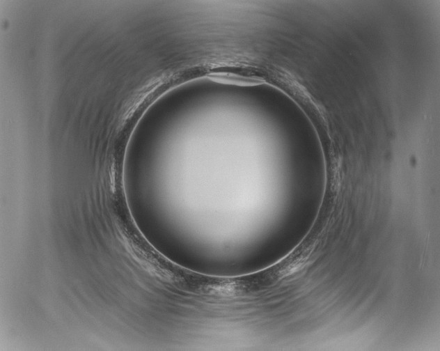 X0000054450068200508011440