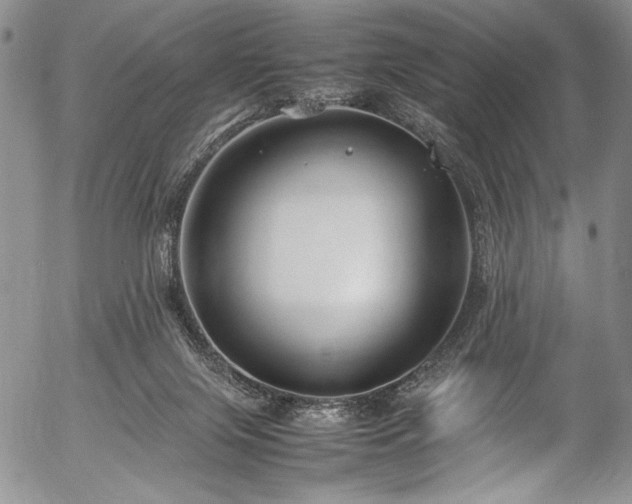 X0000054450071200508011440