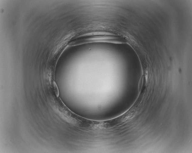 X0000054450072200508011440