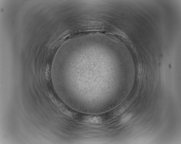 X0000054450073200508011440