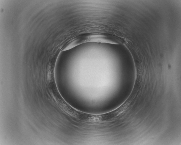X0000054450080200508011440