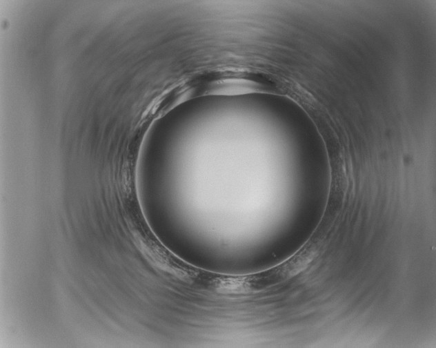 X0000054450088200508011440