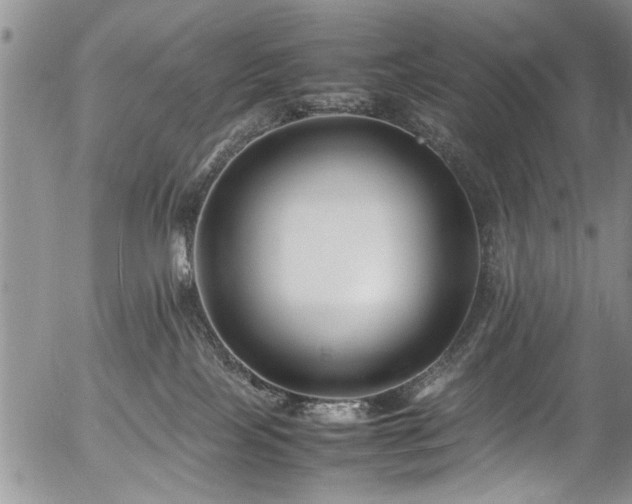 X0000054450089200508011440