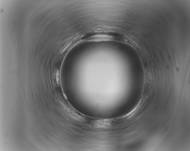 X0000054450094200508011441