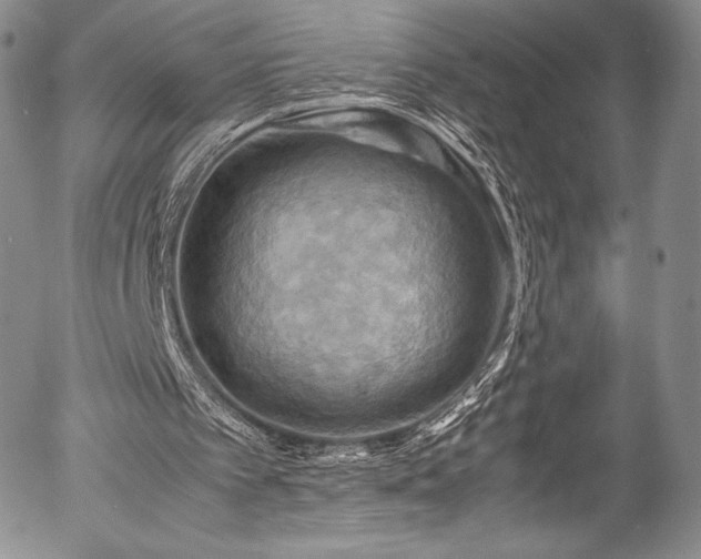 X0000054450097200508011440