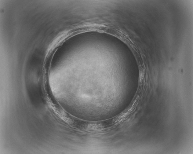 X0000054450101200508011440