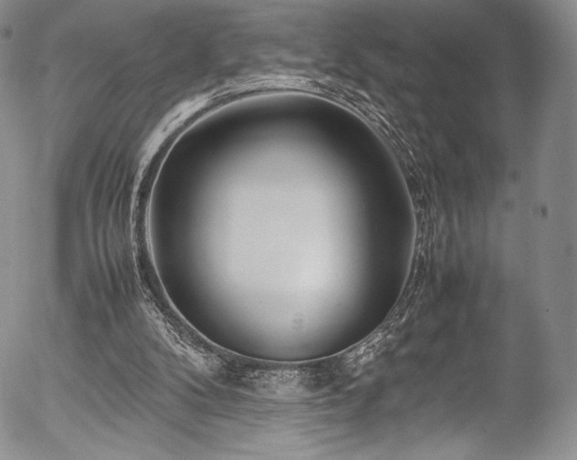 X0000054450104200508011440